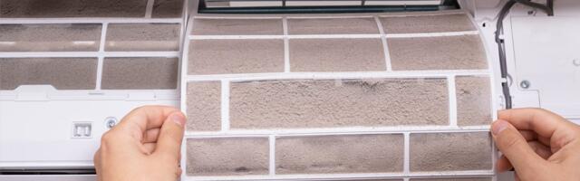 May Is the Worst Month for Allergies. This Is How Allergists Suggest You Prepare