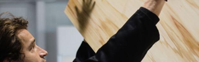 Woodoo raises $31 million to transform wood to the strength of steel