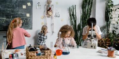 Tim Tam Tummy, a Kid-Friendly Kombucha Unveiled