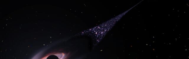 Early Universe's supermassive black holes grew in cocoons like butterflies