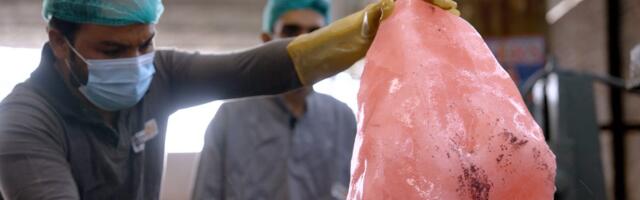 The dangerous process of mining Himalayan pink salt in Pakistan's Khewra mine