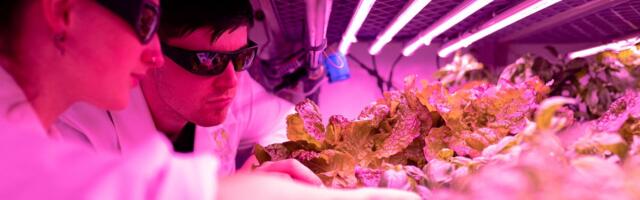 Exploring Livestream E-commerce’s Global Potential