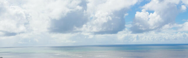 Energy on the Estuary, Harnessing the resources of the Mid-West