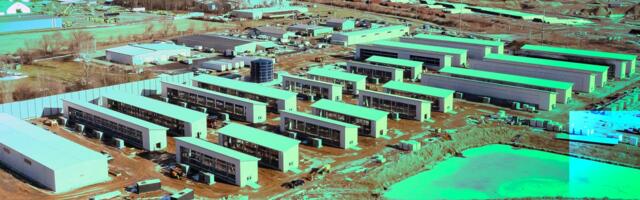 For crypto miners turned AI stars, the real test is about to come