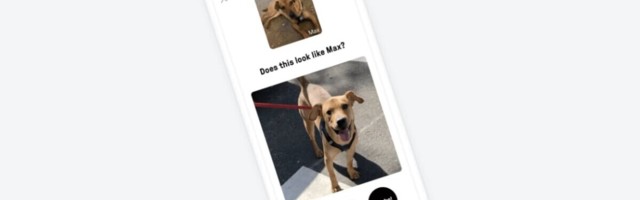 This app is helping reunite dogs with their owners using AI