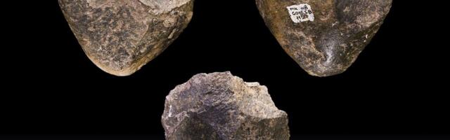 10,000 generations of hominins used the same stone tools to weather a changing world