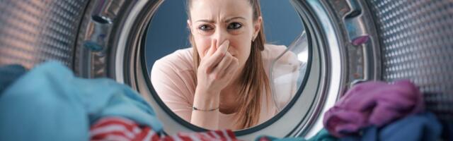 Get That Mold Out of Your Washing Machine Because It Stinks