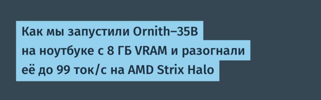 Как мы запустили Ornith‑35B на ноутбуке с 8 ГБ VRAM и разогнали её до 99 ток/с на AMD Strix Halo