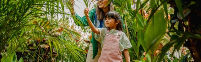 Why Regenerative Tourism Goes Beyond Environmental Sustainability