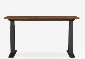 Flexi Spot Standing Desk With Brushless Motors(E9) reviewed