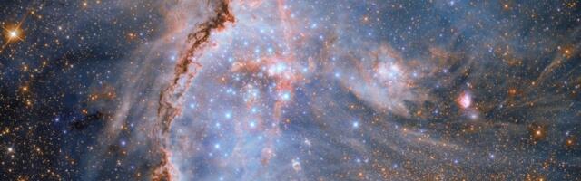 Hubble captures a stunning cradle of stars in neighboring galaxy