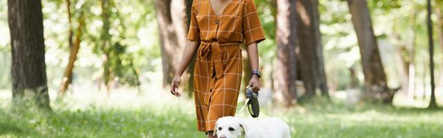 'Japanese Walking' Is Trending, but Is Walking Exercise? Personal Trainers Answer