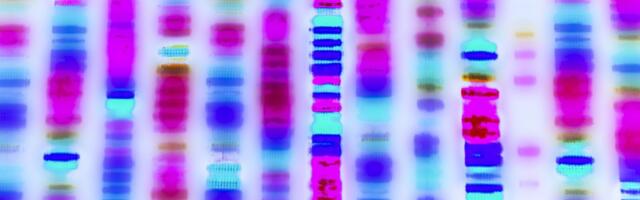 Optimism Taps Flashbots to Supercharge OP Stack Sequencing