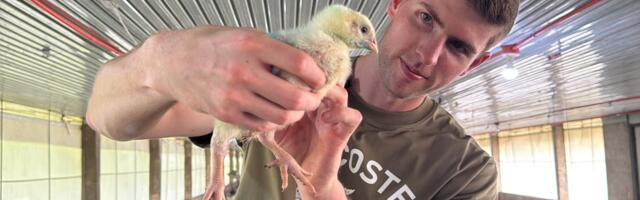 I got tired of the corporate hustle, so I quit my 6-figure banking job and opened a chicken farm in the Philippines