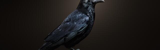 Cogito ergo sum: есть ли у птиц сознание?