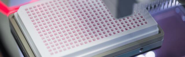 EIB backs Polish biotech Ryvu with €22 million to speed up discovery of new cancer treatments
