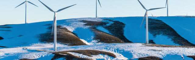 From surplus energy to investment opportunities: Startups across Europe combat fuel poverty