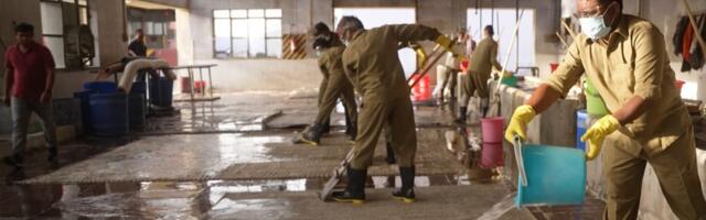 Inside the carpet factory supplying West Elm and Pottery Barn