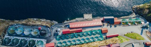 Ireland’s Nernst Electric raises €1.7 million to advance on-site oxygen generation technology for aquaculture and heavy industry