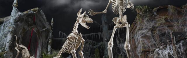Some of the Home Depots giant Halloween decorations are on sale — including Skellys new pets