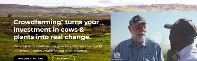 SA crowd-farming startup Livestock Wealth raises $550k funding round