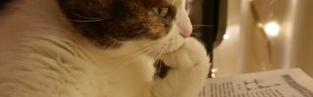 Погружение в разработку плагинов для Android Studio (часть 2)