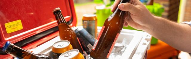 Our Best-Tested Ice and Electric Coolers to Help You Survive a Scorching Summer