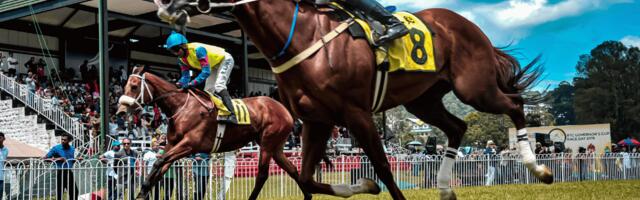 Racing tax could cost industry $442M, as British Horseracing Authority continues petition – research