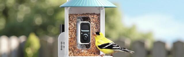 Birdfy Review: Smart Bird Feeders and Bird Bath Put to the Test