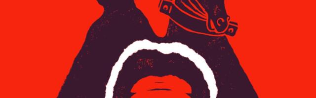 An unsettling indie game about horses keeps getting banned from stores