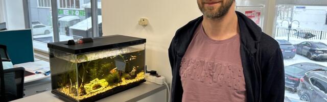 Аквариум в офисе: небольшая деталь, которая сделала мой рабочий день более спокойным и осознанным