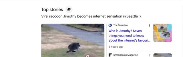 Jimothy, the Viral Raccoon, Scurries Across Your Screen in Google Animation