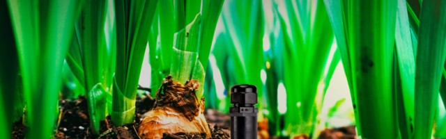 The Big Idea: batteries making electricity from rotting soil