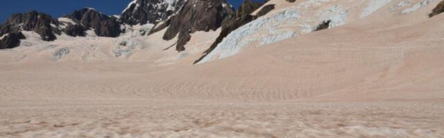 Why Snow in New Zealand’s Alps Turned an Alarming Shade of Red