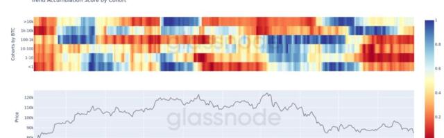 Retail traders are running for the exit amid bitcoin's selloff, while 'mega-whales' are quietly buying the dip