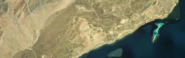 Survival mode: AI is keeping logistics profitable through the Iran fuel shock