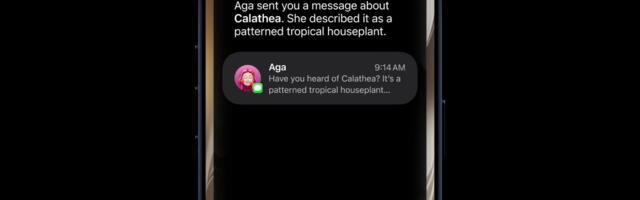 Craig Federighi Explains Why Apple Pivoted to a Siri Chatbot App