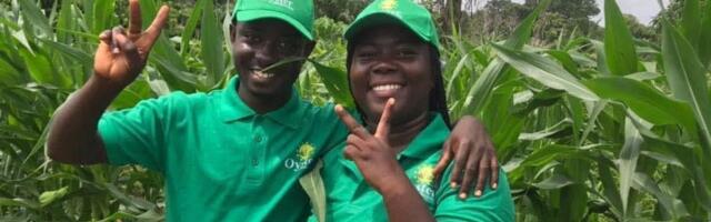 Ghanaian agri-tech startup Oyster Agribusiness raises $310k funding to scale