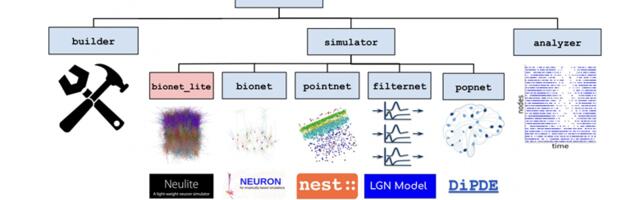 Девять миллионов нейронов, двадцать шесть миллиардов синапсов, один суперкомпьютер