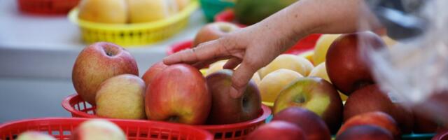 Year-round farmers market and food hub coming to Morgan Hill will be first of its kind
