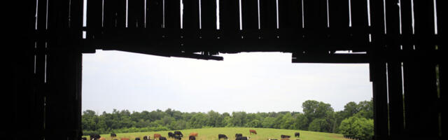 Data center builders thought farmers would willingly sell land, learn otherwise