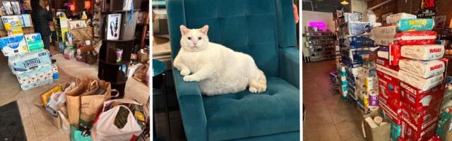 How ICE chaos and a boycott plan are turning Minnesota retailers into community spaces