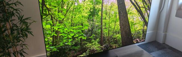 Best OLED TV for 2026