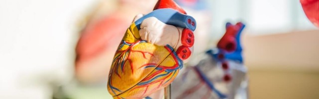 CorVista Health closes $65 million Series C to bolster AI-powered cardiac diagnostic platform