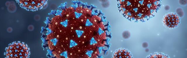 Scientists Discover New Coronavirus With Potential to Infect Humans: What to Know
