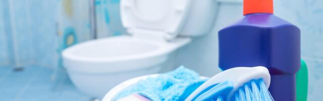 They've Cleaned Grosser Bathrooms Than Yours. Here Are 9 Tricks That Actually Work, From a Former Custodian
