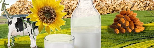 4 tips for startups in the booming plant-based dairy market