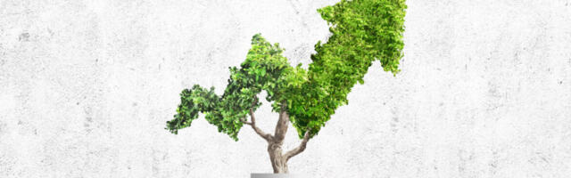 The Rise of Sustainable Investing: How Asset Managers Can Best Prepare for an ESG Future
