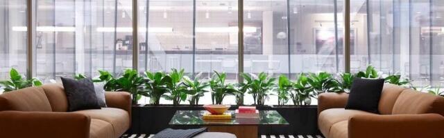 WeWork skips $95M in interest payments just 2 months after the co-working startup warned of possible bankruptcy