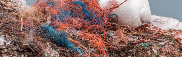 ATU Launches Free Course to Increase Our Understanding of Ocean Pollution